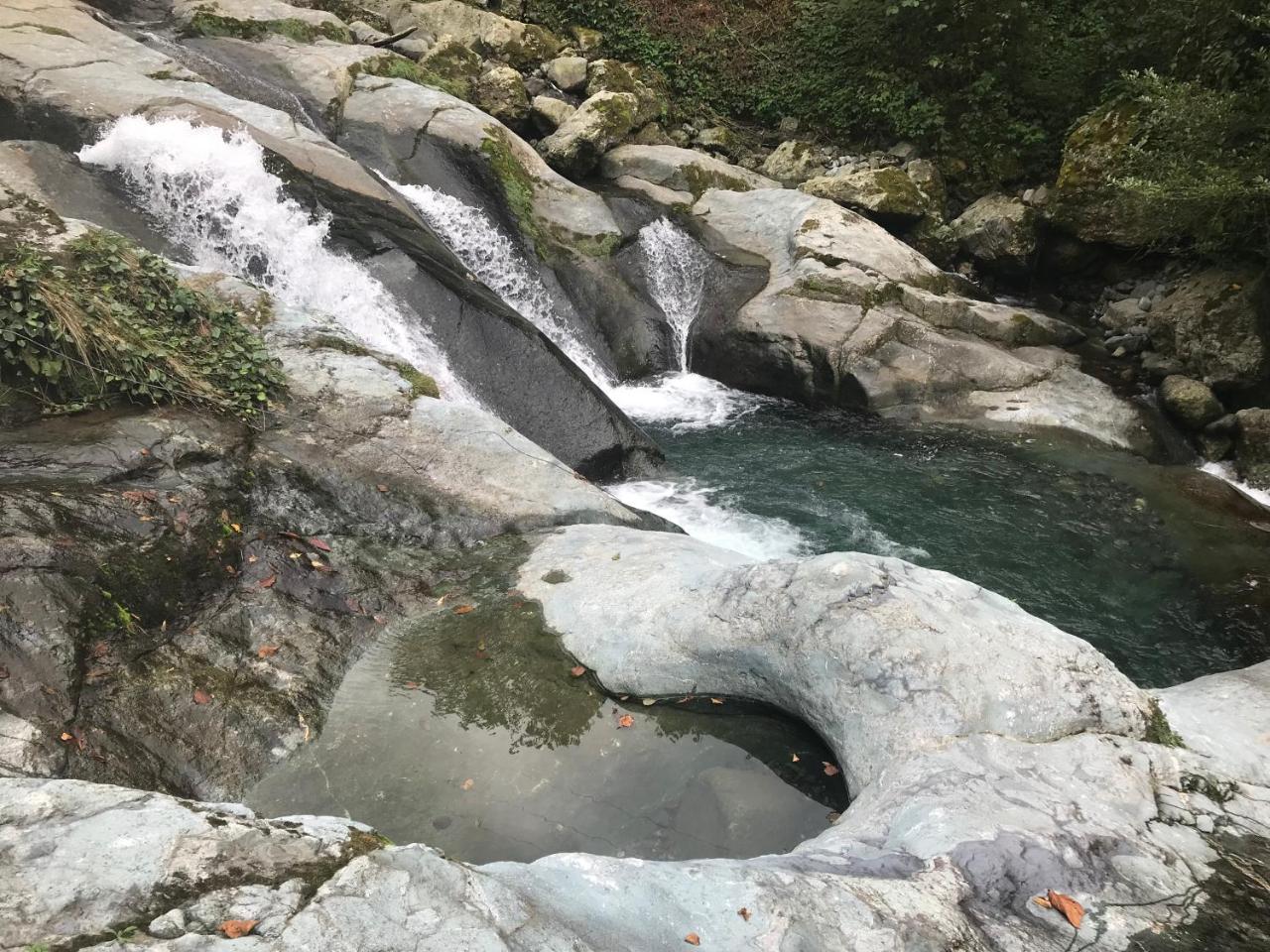 pınar kır evi Artvin Dış mekan fotoğraf